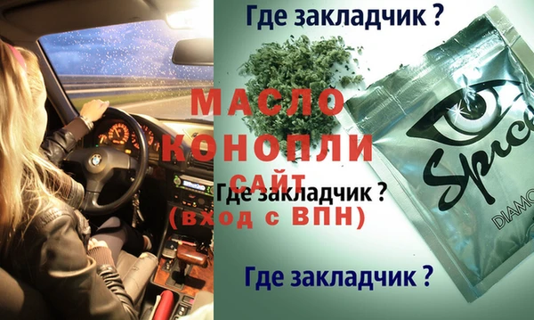 мдпв Ельня