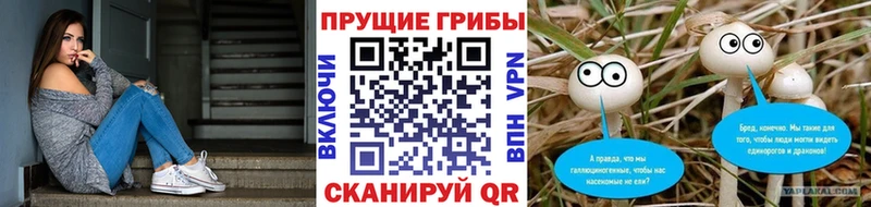 Псилоцибиновые грибы ЛСД  купить наркоту  Бор 