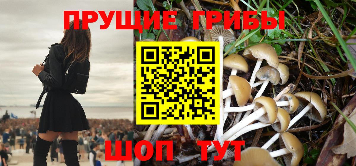 Галлюциногенные грибы ЛСД Бор