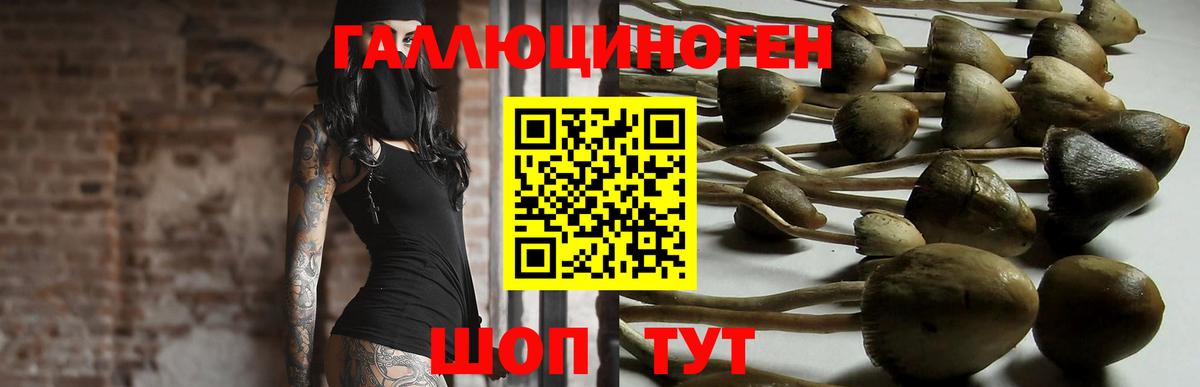 Псилоцибиновые грибы мухоморы  Бор 