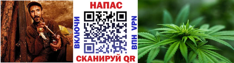 Бошки Шишки Ganja  где купить   блэк спрут ССЫЛКА  Бор 